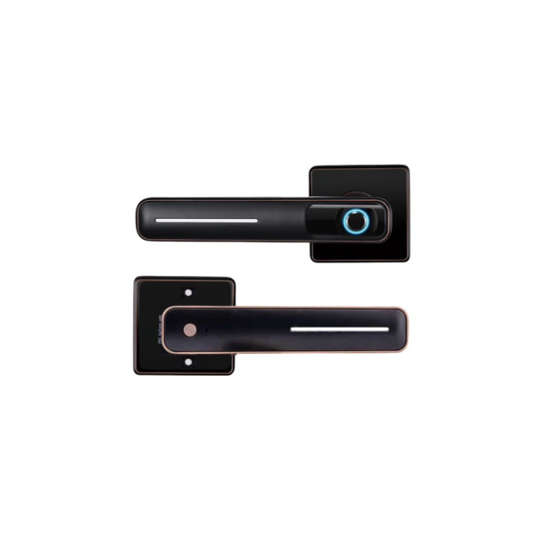 Замок-ручка электронный Hogo R05 с отпечатком пальца, черный